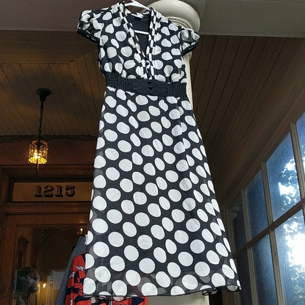 Polka Dot Chiffon Dress